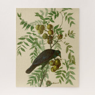 Audubon Purple Grackle Vogel Druck Vintage Botanik Puzzle