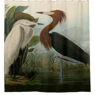 Audubon Purpurreiher Rötlicher Sichler Druck: Voge Duschvorhang