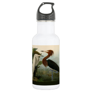 Audubon Purpurreiher Rötlicher Sichler Druck: Voge Edelstahlflasche