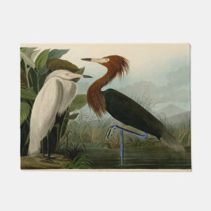Audubon Purpurreiher Rötlicher Sichler Druck: Voge Fußmatte