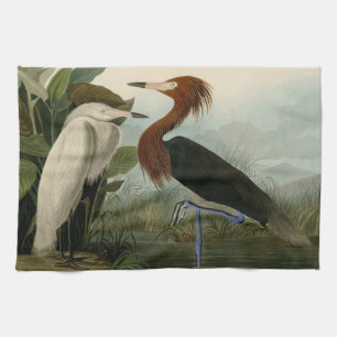 Audubon Purpurreiher Rötlicher Sichler Druck: Voge Geschirrtuch