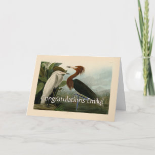 Audubon Purpurreiher Rötlicher Sichler Druck: Voge Karte