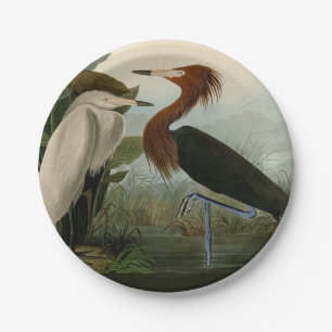 Audubon Purpurreiher Rötlicher Sichler Druck: Voge Pappteller