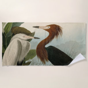 Audubon Purpurreiher Rötlicher Sichler Druck: Voge Strandtuch