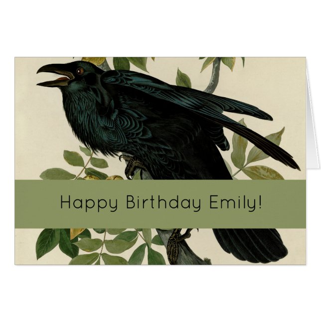 Audubon Raven Bird Classic Artwork (Vorderseite (Horizontal))