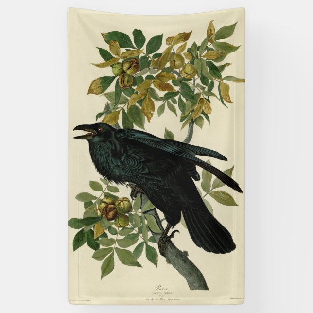 Audubon Raven Bird Classic Artwork Banner (Vertikal)