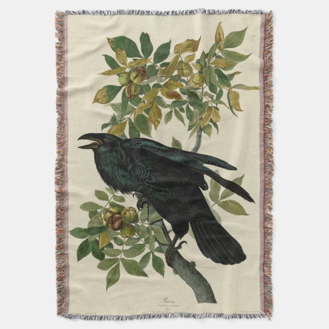 Audubon Raven Bird Classic Artwork Decke (Vorderseite Vertikal)