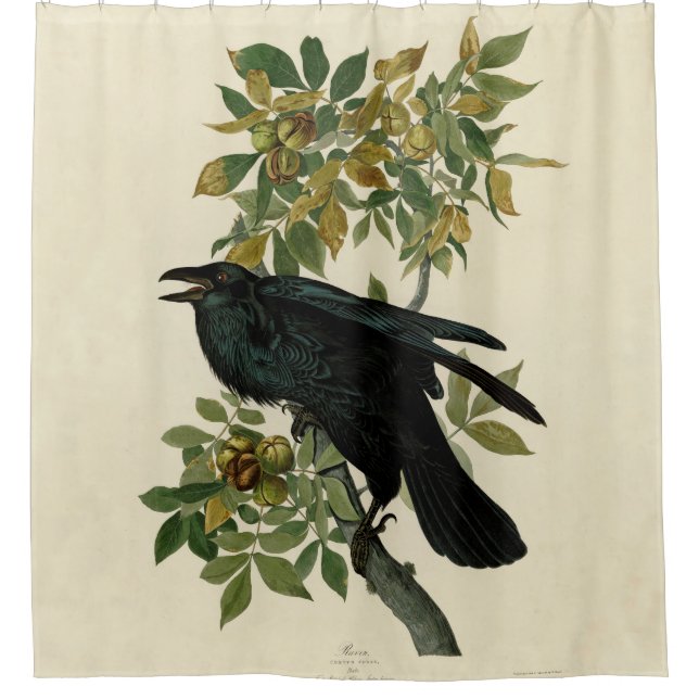 Audubon Raven Bird Classic Artwork Duschvorhang (Vorderseite)