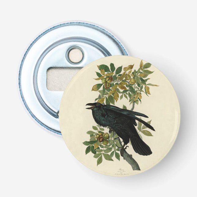 Audubon Raven Bird Classic Artwork Flaschenöffner (Vorderseite)