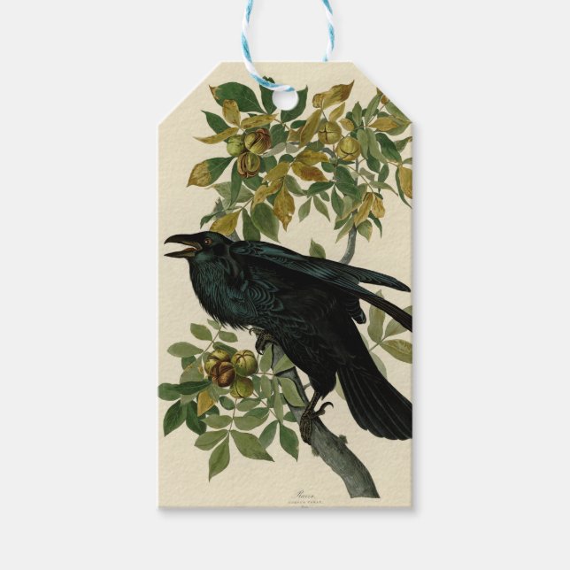 Audubon Raven Bird Classic Artwork Geschenkanhänger (Vorderseite)