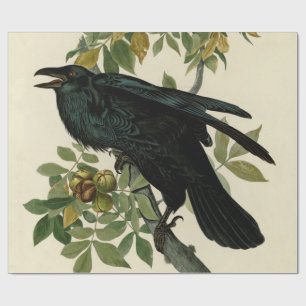 Audubon Raven Bird Classic Artwork Geschenkpapier