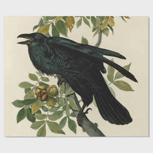 Audubon Raven Bird Classic Artwork Geschenkpapier (Flach)