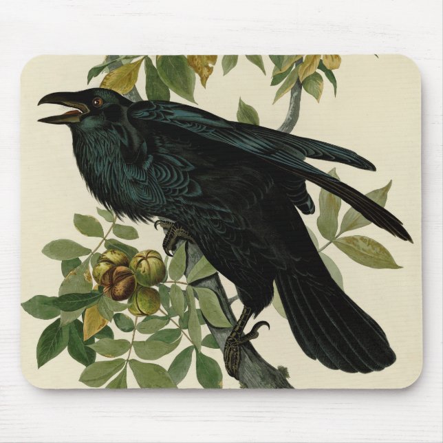 Audubon Raven Bird Classic Artwork Mousepad (Vorne)