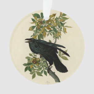 Audubon Raven Bird Classic Artwork Ornament