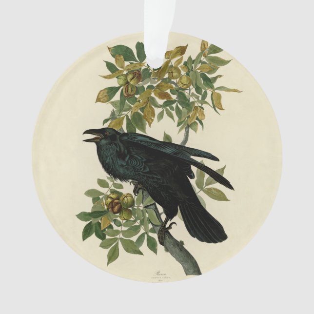 Audubon Raven Bird Classic Artwork Ornament (Vorderseite)