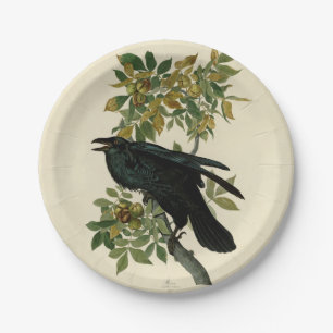 Audubon Raven Bird Classic Artwork Pappteller