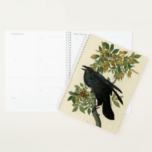 Audubon Raven Bird Classic Artwork Planer