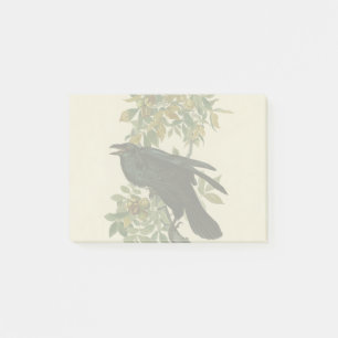 Audubon Raven Bird Classic Artwork Post-it Klebezettel