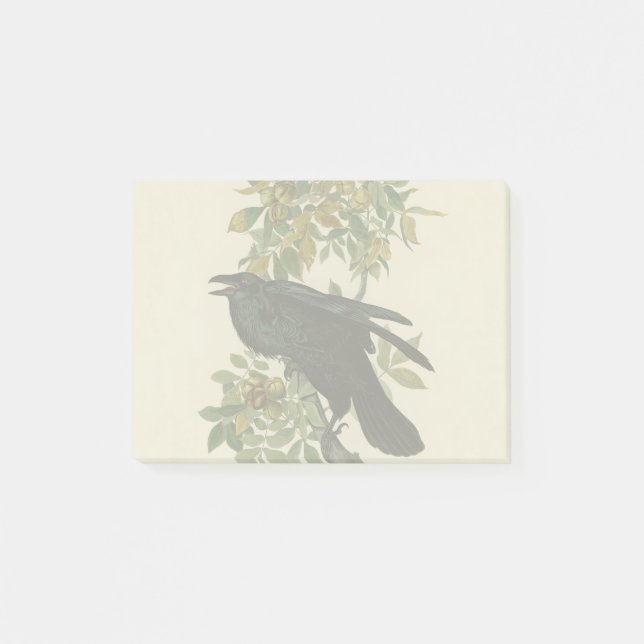 Audubon Raven Bird Classic Artwork Post-it Klebezettel (Vorderseite)