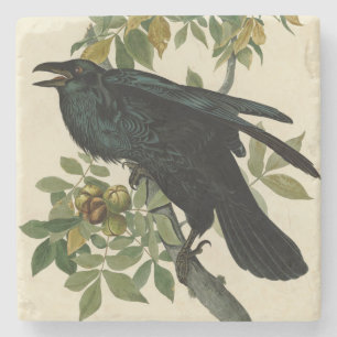 Audubon Raven Bird Classic Artwork Steinuntersetzer