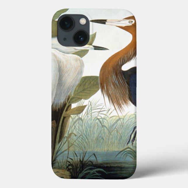 Audubon: Reddish Egret oder Lila Heron Case-Mate iPhone Hülle (Rückseite)