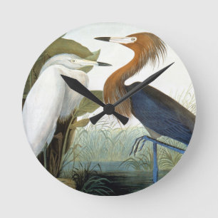 Audubon: Reddish Egret oder Lila Heron Runde Wanduhr