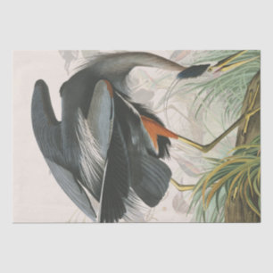 Audubon Reiher-Vogel-Tier-Gewebe-Papier Seidenpapier