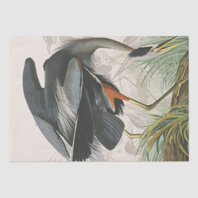 Audubon Reiher-Vogel-Tier-Gewebe-Papier Seidenpapier (Vorderseite)