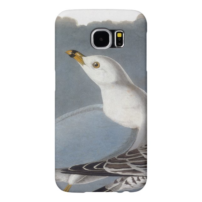 Audubon: Ring-Berechnete Möve Case-Mate Samsung Galaxy Hülle (Rückseite)
