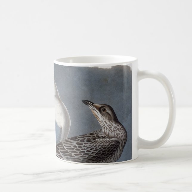 Audubon: Ring-Berechnete Möve Kaffeetasse (Rechts)