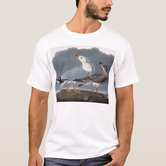 Audubon: Ring-Berechnete Möve T-Shirt (Vorderseite)