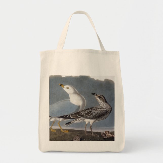 Audubon: Ring-Berechnete Möve Tragetasche (Vorne)