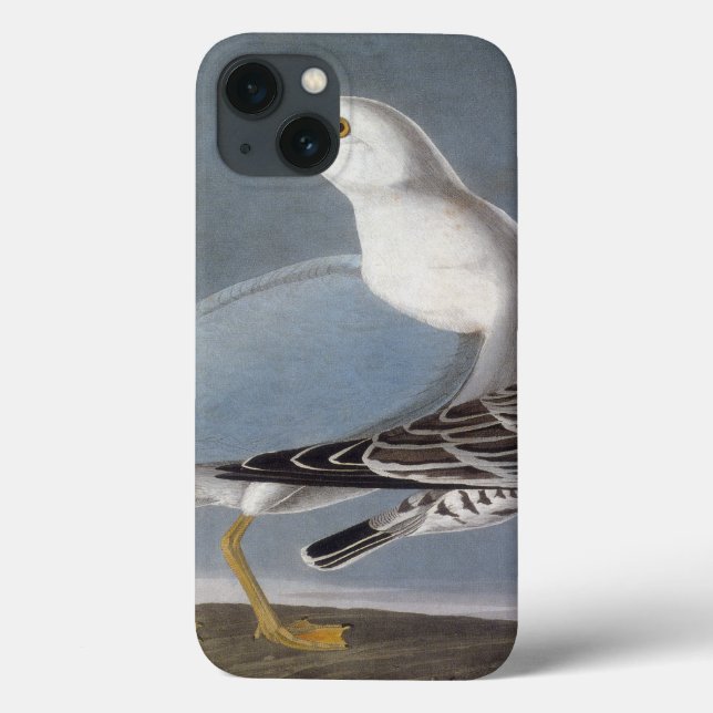 Audubon: Ring-Billed Gull Case-Mate iPhone Hülle (Rückseite)