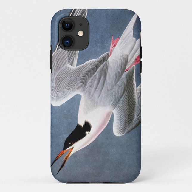 Audubon: Rosa Seeschwalbe Case-Mate iPhone Hülle (Rückseite)