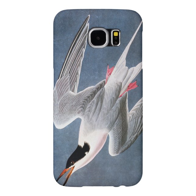 Audubon: Rosa Seeschwalbe Case-Mate Samsung Galaxy Hülle (Rückseite)