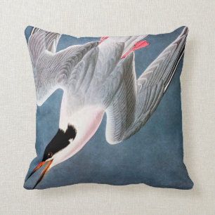 Audubon: Rosa Seeschwalbe Kissen