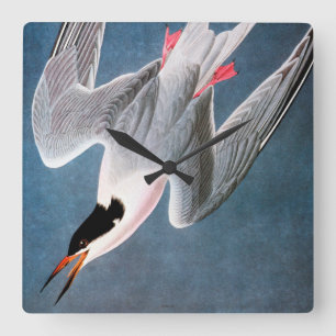 Audubon: Roseate Tern Quadratische Wanduhr