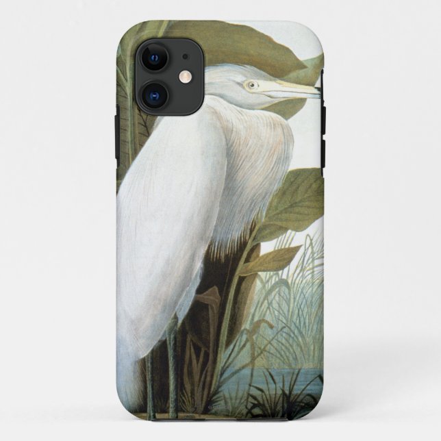 Audubon: Rötlicher Reiher oder lila Reiher Case-Mate iPhone Hülle (Rückseite)