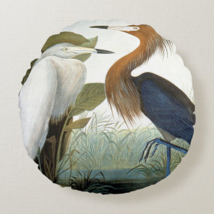 Audubon: Rötlicher Reiher oder lila Reiher Rundes Kissen