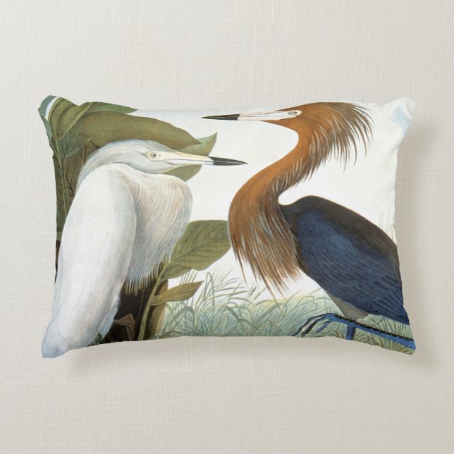 Audubon: Rötlicher Reiher oder lila Reiher Zierkissen (Vorderseite)