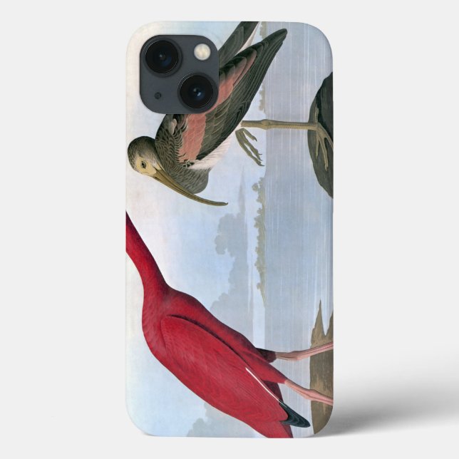 Audubon: Scarlet Ibis Case-Mate iPhone Hülle (Rückseite)