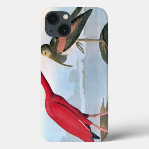Audubon: Scarlet Ibis Case-Mate iPhone Hülle