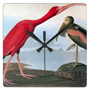 Audubon: Scarlet Ibis Quadratische Wanduhr