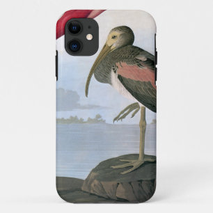 Audubon: Scharlachrot IBIS Case-Mate iPhone Hülle