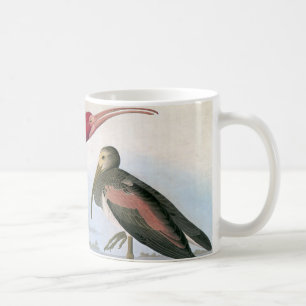 Audubon: Scharlachrot IBIS Kaffeetasse