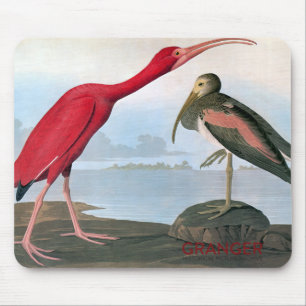 Audubon Scharlachrot IBIS Mausunterlage- Mousepad