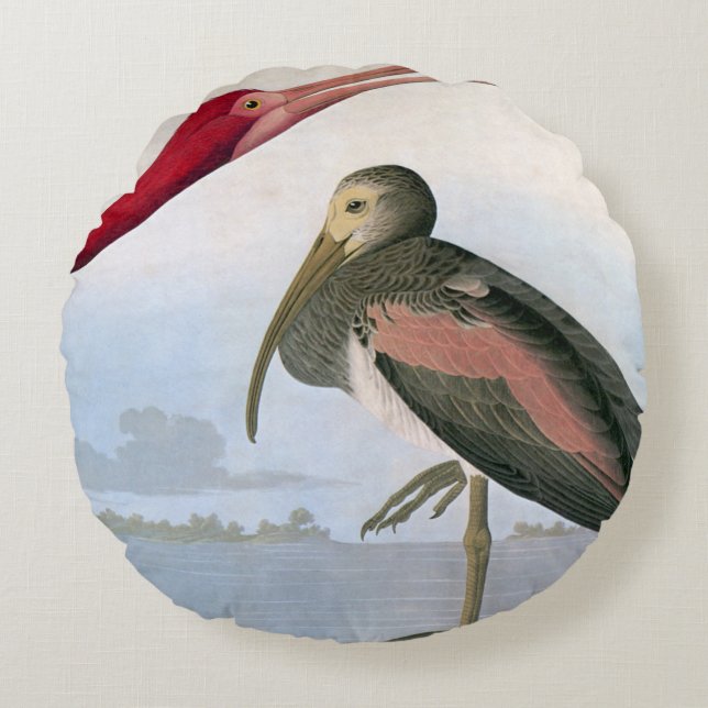 Audubon: Scharlachrot IBIS Rundes Kissen (Vorderseite)