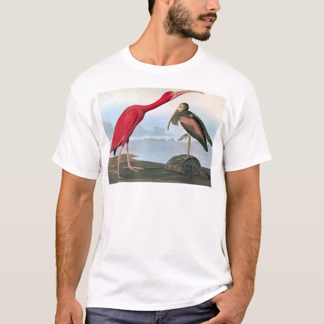 Audubon: Scharlachrot IBIS T-Shirt (Vorderseite)