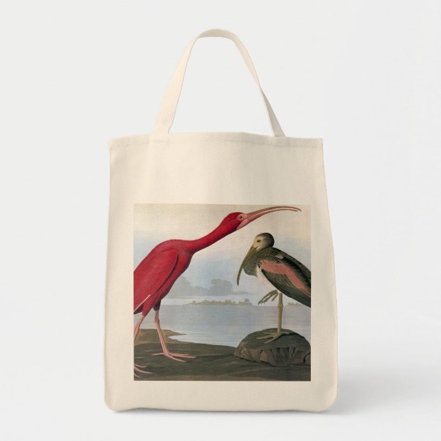 Audubon: Scharlachrot IBIS Tragetasche (Vorne)