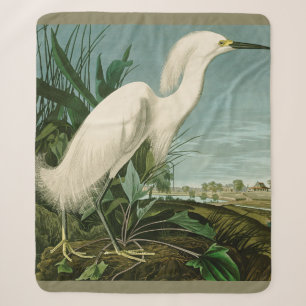 Audubon Schneeregenpfeifer Weißer Silberreiher Vog Sherpadecke